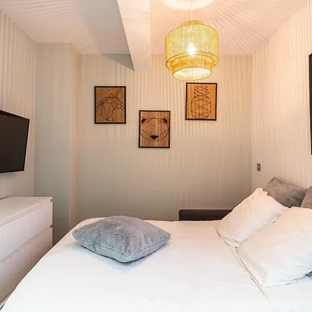 Sublime Renove - Meynadier Apartment Cannes